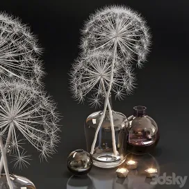 Decor Heracleum plant white